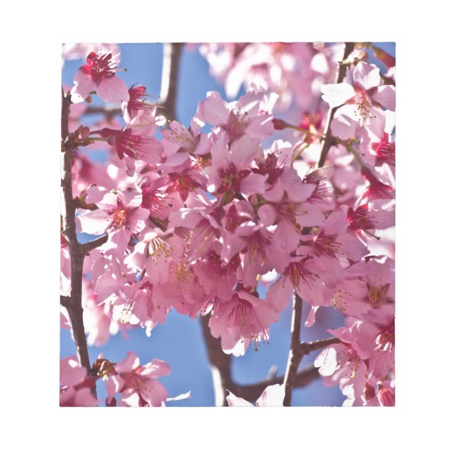 Bloc-note Fleurs de cerisier Sakura Étoiles rouges (Devant)