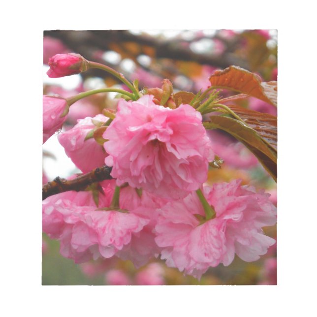 Bloc-note Fleurs de fleurs de cerisier rose chaud (Devant)