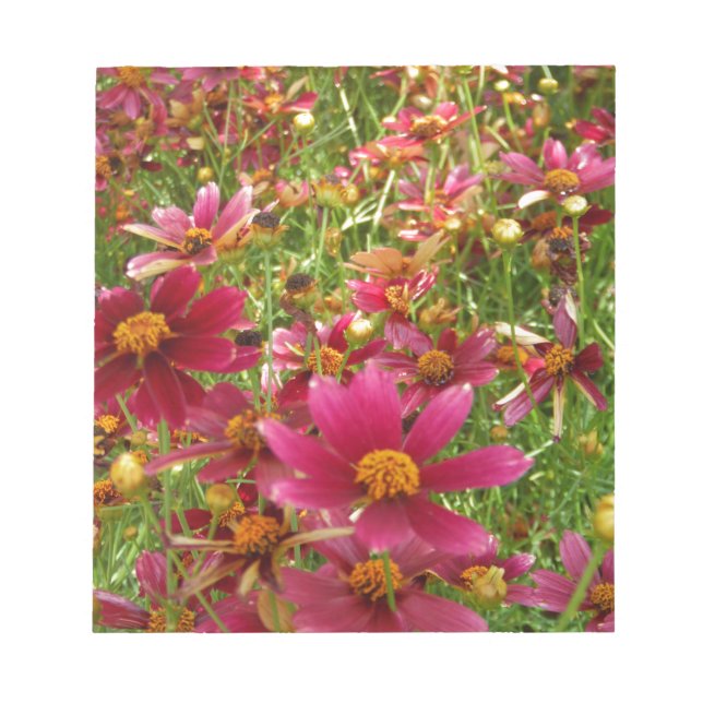 Bloc-note Fleurs de marguerite rose et jaune brillantes (Devant)