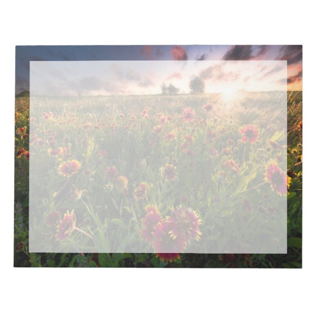 Bloc-note Fleurs | Fleur sauvage indien Texas (Devant)