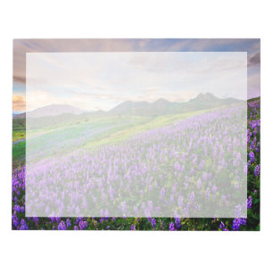 Bloc-note Fleurs   Fleurs sauvages californiens