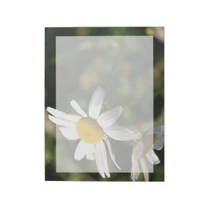 Bloc-note Fleurs marguerites blanches sauvages
