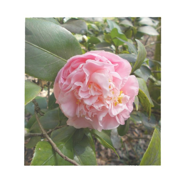 Bloc-note Fleurs roses (Devant)