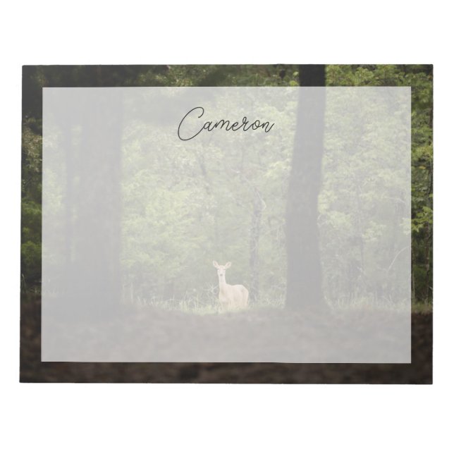 Bloc-note Forest | A White Tailed Deer in the Woods (Devant)