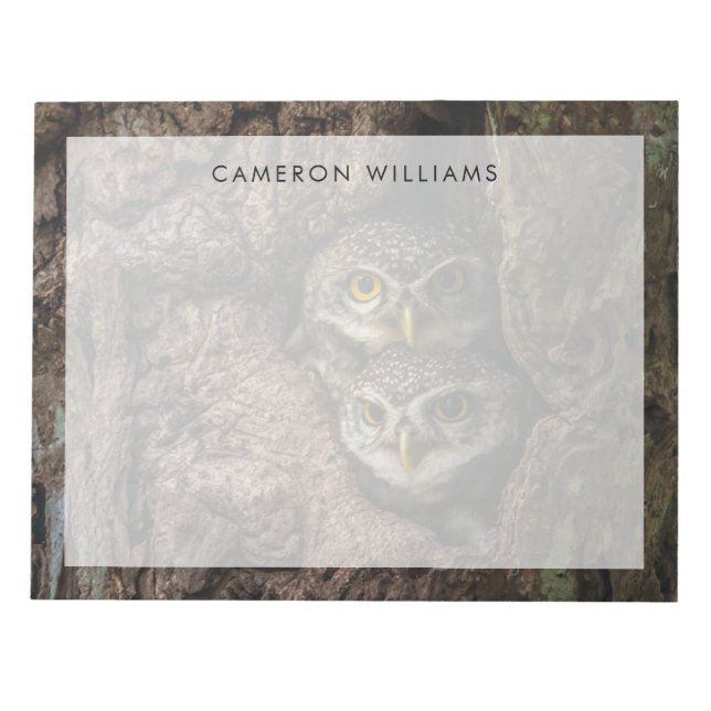 Bloc-note Forest | Deux Owls Looking (Devant)