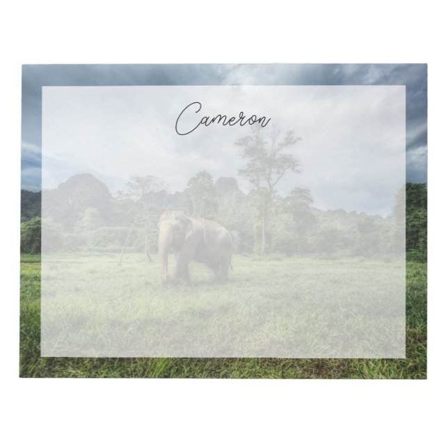 Bloc-note Forêt | Parc national de Kao Sok (Devant)