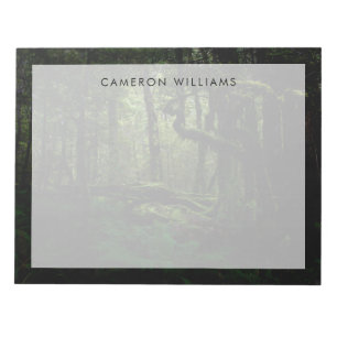 Bloc-note Forêt Routeburn Track Fiordland National Park