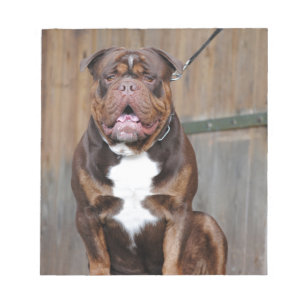 Bloc-note French Mastiff
