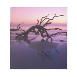 Bloc-note GA Jekyll Island, un cimetière arboré sur la pla