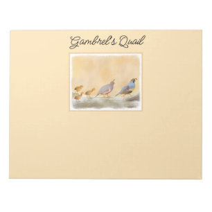 Bloc-note Gambrel's Quail Painting Original Bird Art