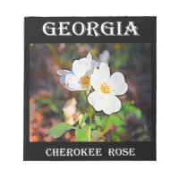 Georgia Cherokee Rose