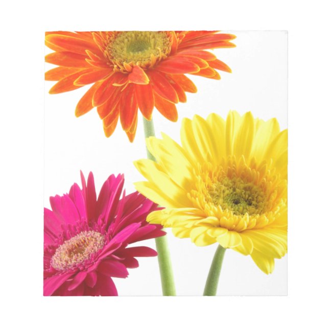 Bloc-note Gerbera marguerite (Devant)