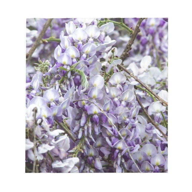 Bloc-note Glycine (Devant)