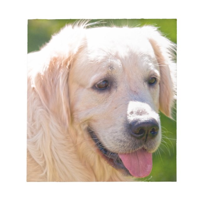 Bloc-note Golden Retriever (Devant)