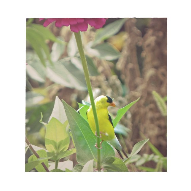 Bloc-note Goldfinch (Devant)