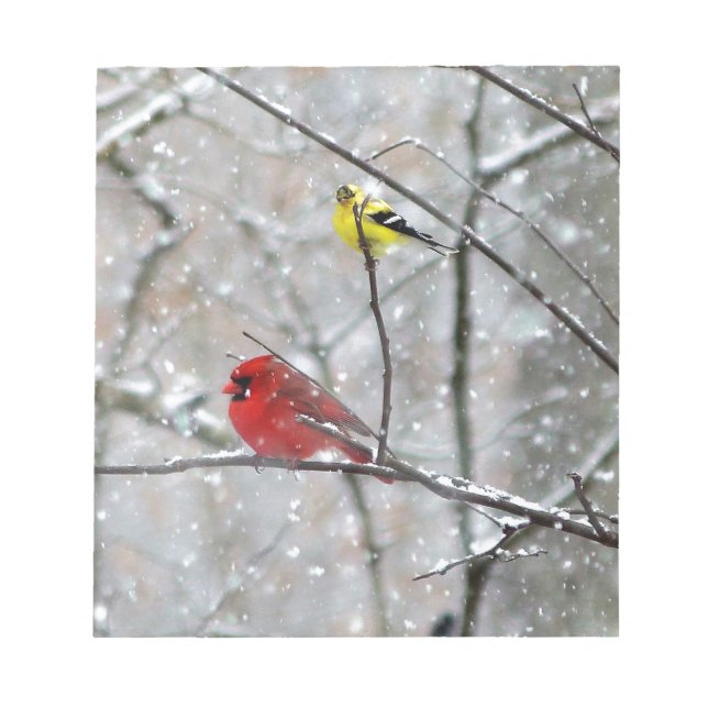 Bloc-note Goldfinch Et Cardinal (Devant)