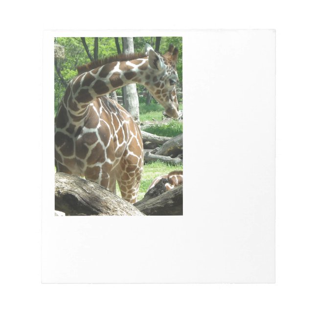 Bloc-note Graceful Giraffe (Devant)