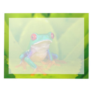 Bloc-note Grenouille aux yeux rouges, Costa Rica