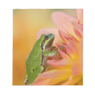 Bloc-note Grenouille du Pacifique sur des fleurs dans notre