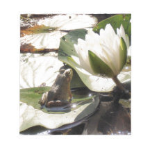 Grenouille enchantée