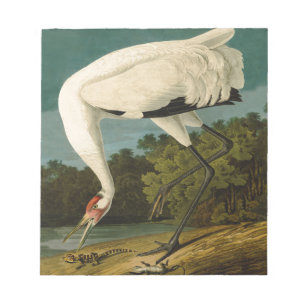Bloc-note Grue blanche Audubon Peinture d'oiseaux