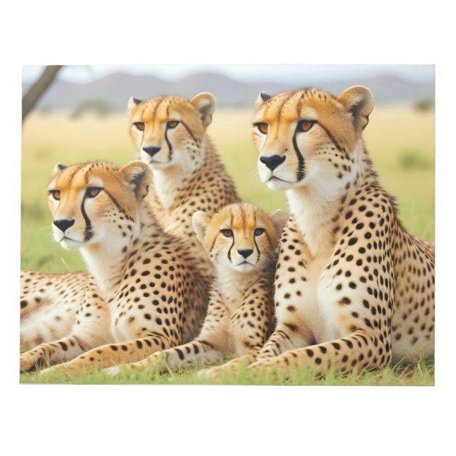 Bloc-note Guépard Animal Nature Faune Affection Tendresse (Devant)
