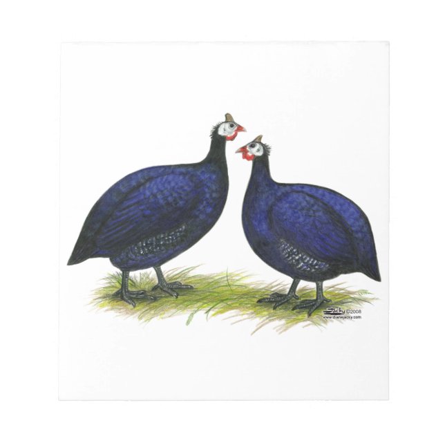Bloc-note Guineas Royal Purple Pair (Devant)
