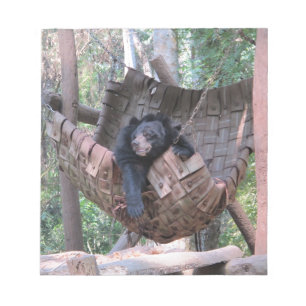 Bloc-note Hammock de l'ours endormi Parc Forest Trail Campin