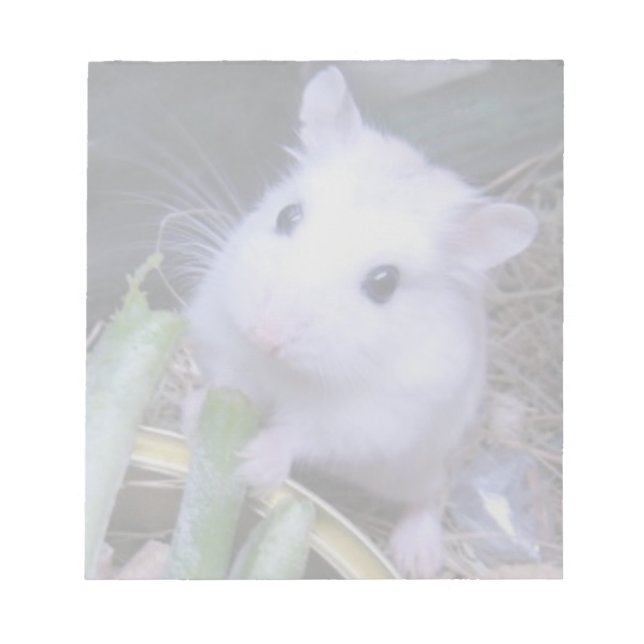 Bloc-note Hamster blanc (Devant)
