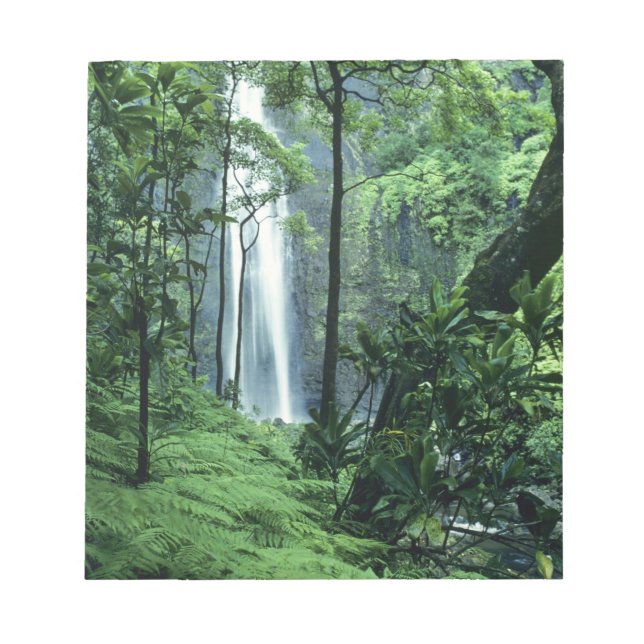 Bloc-note Hanakapiai Chutes le long de la côte Na Pali, Kaua (Devant)