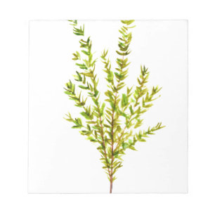 Bloc-note Herbes de thym Herbes botaniques