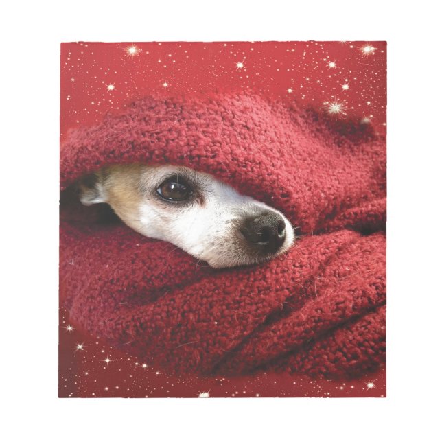 Bloc-note Holiday Chihuahua (Devant)