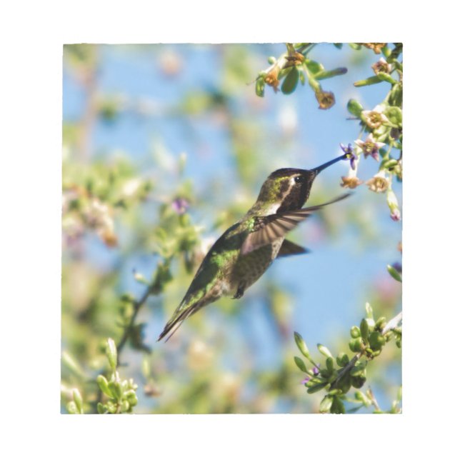 Bloc-note Humming Bird (Devant)