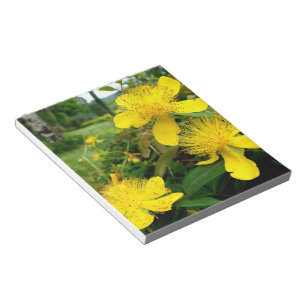 Bloc-note Hypericum calycinum