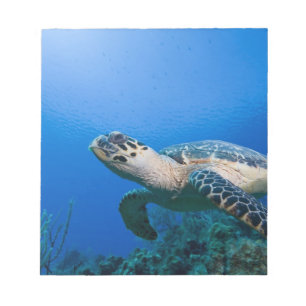 Bloc-note Iles Cayman, Île Little Cayman, Sous-marin 2