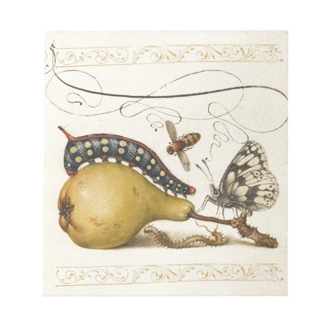 Bloc-note Illustration de l'insecte du fruit du papillon (Devant)