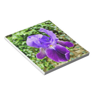 Bloc-note Iris à poils