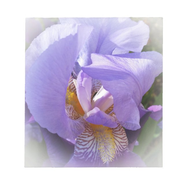 Bloc-note iris pourpre (Devant)