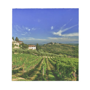 Bloc-note Italie, Toscane, Greve. Les vignobles de Castello