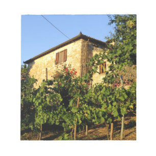 Bloc-note Italie, Toscane, Greve. Scènes de vin fin d'été