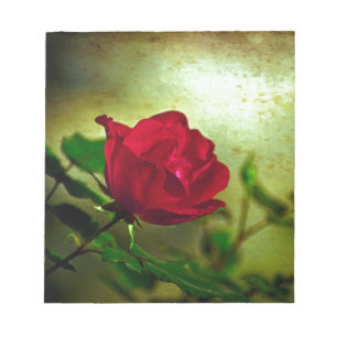Bloc-note Jardin mystique Saint-Valentin gothique Rouge Rose