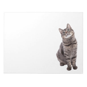 Bloc-note Joli chat tigré