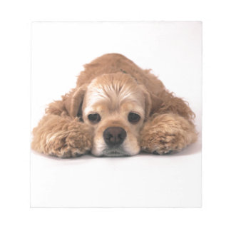 Bloc-note Joli Cocker Spaniel