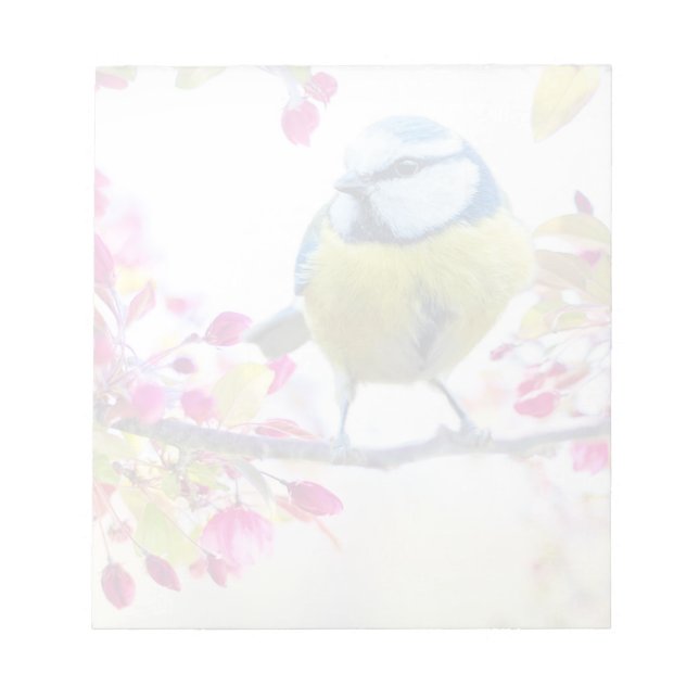 Bloc-note Joli oiseau bleu et jaune sur une branche Photogra (Devant)