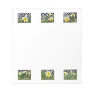 Bloc-note Jonquilles