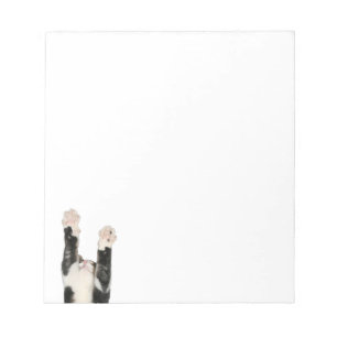 Bloc-note Jouer chaton