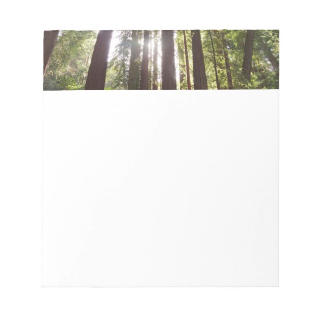 Bloc-note Jusqu'aux séquoias du matin (Devant)