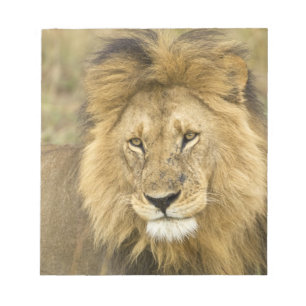 Bloc-note Kenya Masai Mara