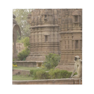 Bloc-note Langurs d'Hanuman ou langur commun