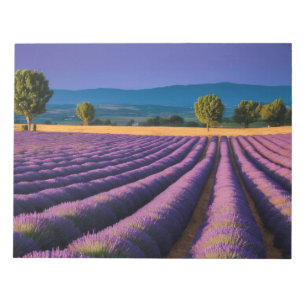 Bloc-note Lavande Nature Extérieur Paysage Calme Tranquille